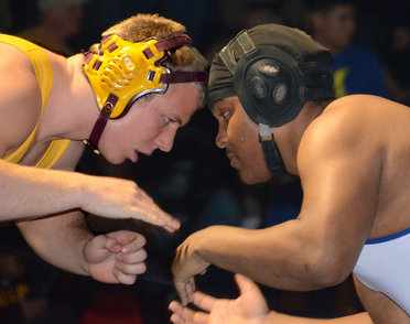 Brock Turnbaugh captures wrestling state championship