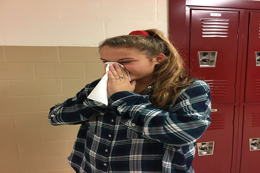 It is cold season. Alexis Griffey ('17) was sick along with other people.