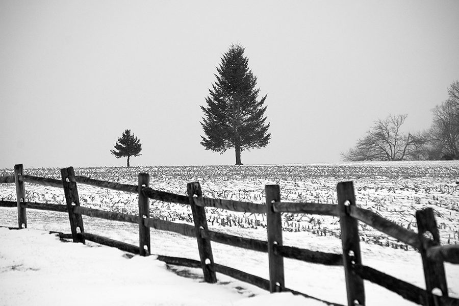 Snow covers a field and dusts the lone trees. This 2015 snowfall closed schools and canceled activities in the Zone.