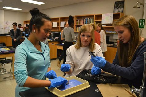 Katrina Villanueva (18), Lila Carroll (18), and Amanda Harris (18) work on dissecting their brain together. They doccumented their tasks to put into a presentation for the class.