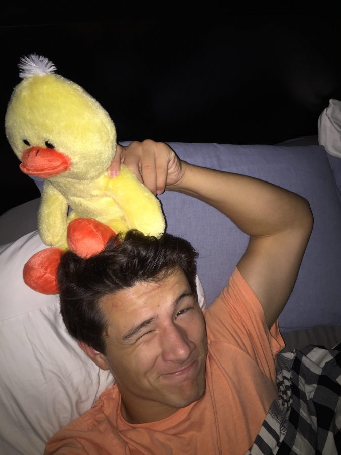 Duck jumps on my head before bed. He's crazy.
