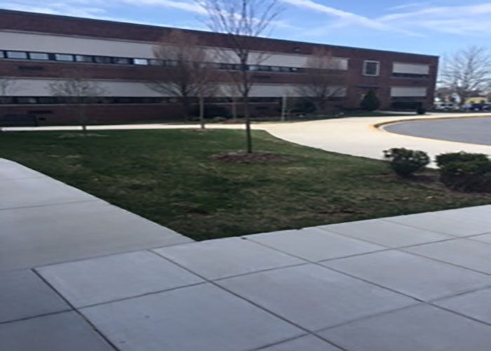 Plant life is returning in the front of the school. Spring has arrived.