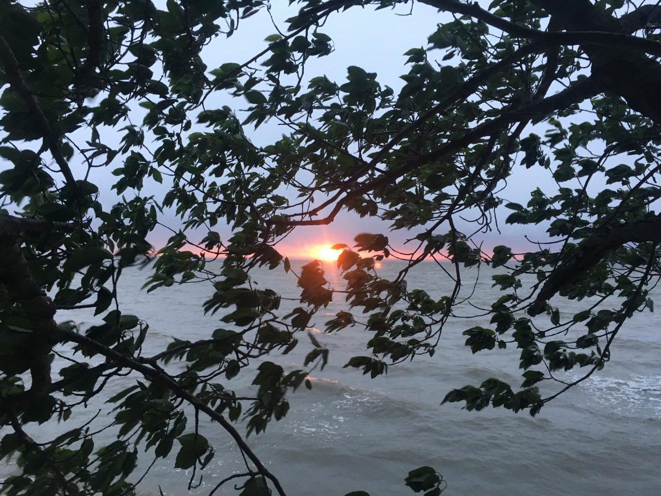 The sun sets on a rainy day at Camp Wright. I climbed a tree and sat on one of its branches to take this picture.