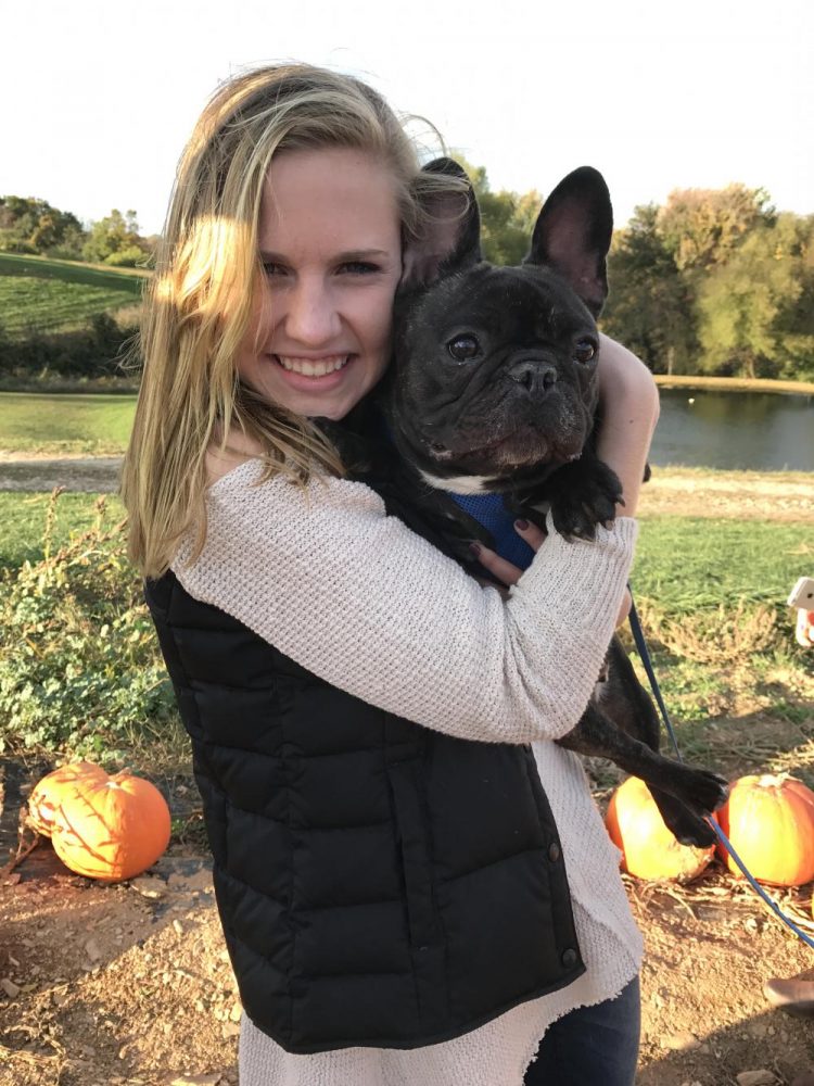 Dogs are a man's best friend