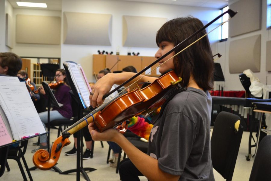 Nikki Lenhoff ('18) plays the viola in orchestra class led by music teacher Janet Sovich. Lenhoff performed in the Honors All-County Orchestra. 