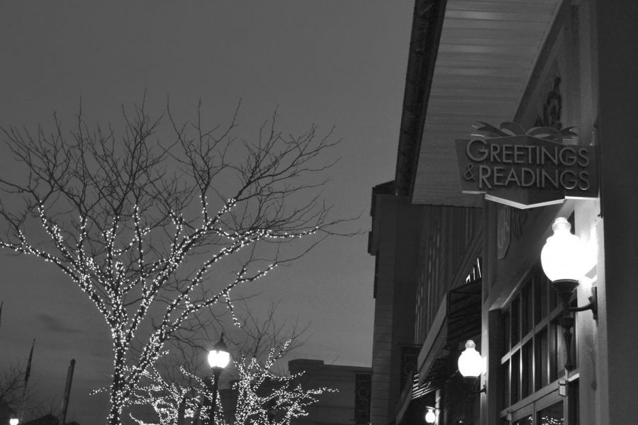 Tree lights reflect on the outside of Greetings and Readings. They are lit every night to improve the appearance of Hunt Valley.