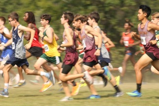 Michael Earp (‘25), Sam Stewart-Sicking (‘24), and Colin Kurniawan (‘24) sprint out of the gates. They ran in the Medium Boys Varsity race.