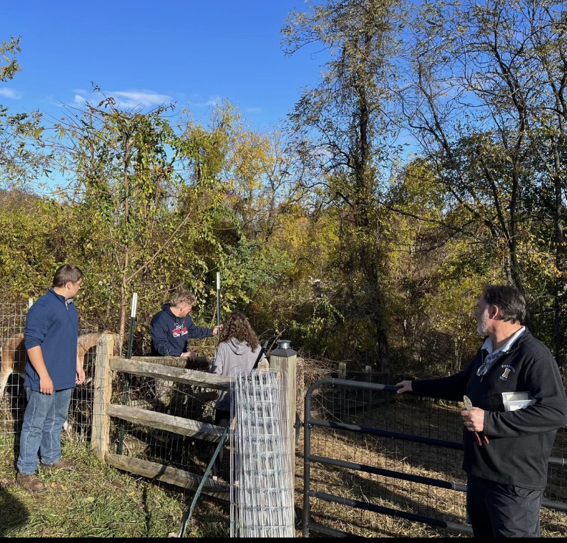 Nick Geppi ('23), Jake Gillispie ('24) and Giselle Barke ('24) help fix the new pasture to prevent one of the goats from jumping the fence.
