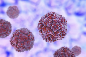 The rhinovirus (pictured above) is the virus that most frequently causes the common cold, and is more present during the fall months. Image from Creative Commons.